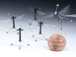 tiniest drone takes off sort of