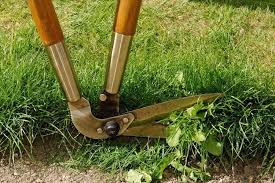 To Edge A Lawn Guide To Lawn Edging
