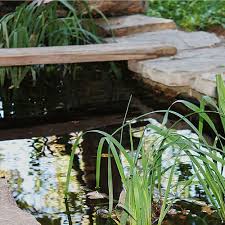 How To Heat A Koi Pond Methods Costs