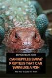 Do all reptiles swim?