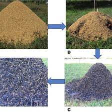(flared, utilised for drying biomass or heating the kiln, or as an energy. Production Of Biochar From Rice Husks A By Igniting A Heap Of The Download Scientific Diagram