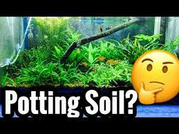Potting Soil Vs Organic Soil In