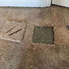 carpet stretching repair maryville