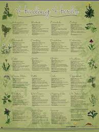 Healing Herb Chart Healing Herbs Herbalism Medicinal Herbs