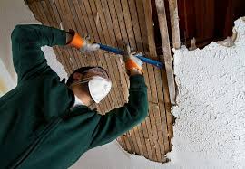 Lath And Plaster What Every Homebuyer