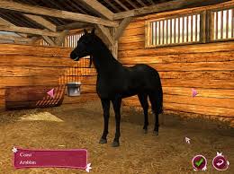 Free horse & pony online breeding game: Best Horse Games For Mac Lifasr