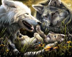 You will definitely choose from a huge number of pictures that option that will suit you exactly! Cool Wolf Wallpapers Top Free Cool Wolf Backgrounds Wallpaperaccess