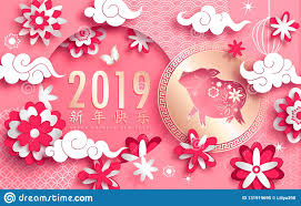 Image result for happy 2019 in china