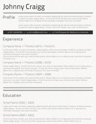 Professional CV Template Pinterest