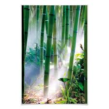 Wall Print Bamboo Forest Wall Art Com