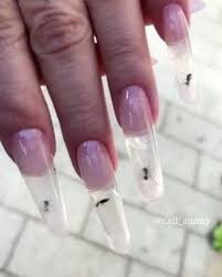 manicure with live ants inside