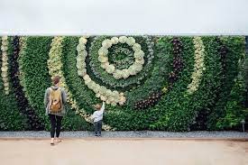 How To Build A Living Wall Eco Brooklyn