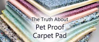 pet proof carpet pad carter s carpet