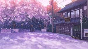 sakura tree anime hd wallpapers pxfuel