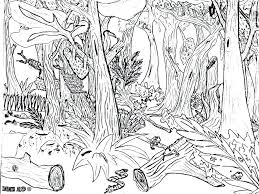 As an amazon associate and a participant in other affiliate programs, we earn a commission on qualifying purchases. Simple Enchanted Forest Drawing Novocom Top
