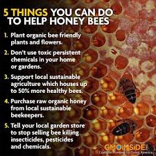5 Things You Can Do To Help Bees Savethebees Honeybees