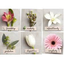 Maybe you would like to learn more about one of these? 10 Flowers And The Language Of Flowers Ideas Language Of Flowers Flowers Flower Meanings