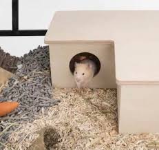 Niteangel Hamster Wooden Chamber