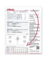 Inbody 270 Portable And Easy Body Composition Analysis