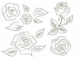 free vectors rose drawing drawing