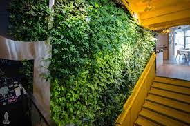 Create An Indoor Forest Vertical