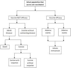 Flow Chart For Vaccination Model Download Scientific Diagram