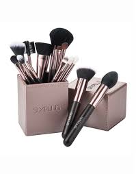 six plus 15 piece makeup brush beauty