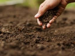 Organic Soil Amendments Creating