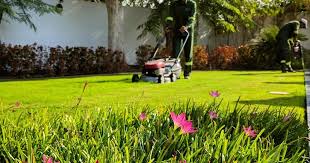 Do not use special additives. Garden Maintenance Services Dubai 1 Gardening Company