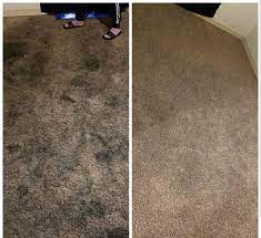 carpet cleaning cleaning bryan s