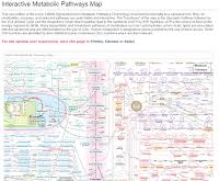 Allmistry Metabolic Pathways Poster Aldrich