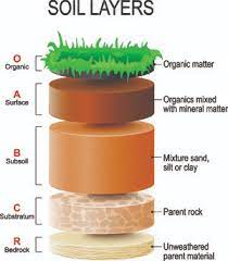Material and materiel are nouns that refer to resources. Do You Know The Difference Between Organic Material And Soil Organic Matter Greenstories