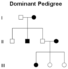 Mendelian Genetics