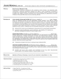 Sample Profile Resume Sample Personal Resume Resume Profile Samples