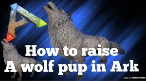 how to raise a wolf pup ark survival