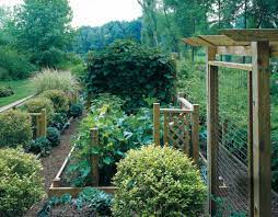 Veggie Garden