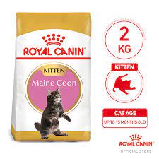 royal canin maine kitten dry cat