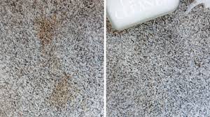 diy carpet cleaning solution how to