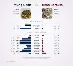 mung bean vs bean sprouts
