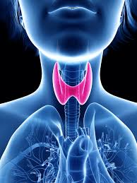 types of thyroid diseases and how they