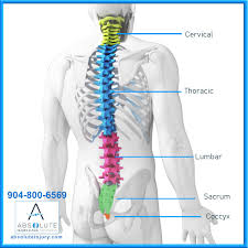 This shopping feature will continue to load items when the enter key is pressed. Knowing Your Spine Anatomy Absolute Injury And Pain Physicians