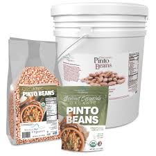 pinto beans mountain high organics