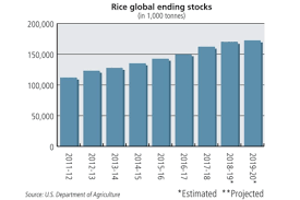 Grain Market Review Rice 2019 06 10 World Grain
