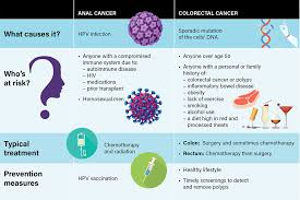 What Is The Difference Between Anal Cancer And Colon Cancer