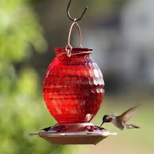 hummingbird feeder with rose gold accents