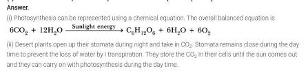 I Write The Balanced Chemical Equation