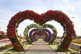 dubai miracle garden a virtual tour of