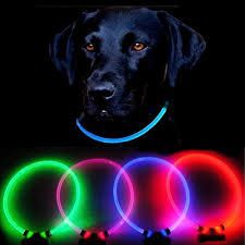 Light Up Dog Collar Waterproof