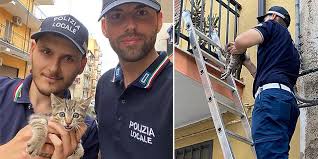 Se ne vanno da casa e abbandonano gattino sul balcone, salvato dalla  Polizia locale