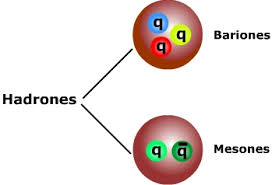 Resultado de imagen para leptones bariones y muones